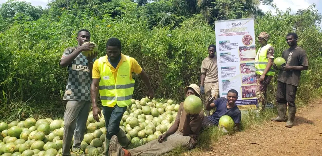 You are currently viewing Soutien à l&rsquo;Entrepreneuriat Agricole des Jeunes